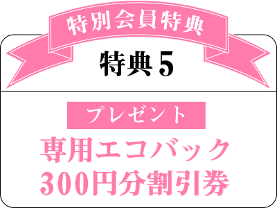 エコバック・300円分割引券