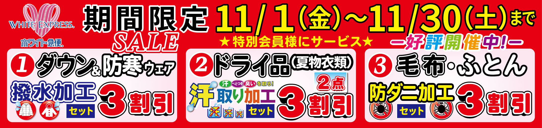 11月期間限定SALE