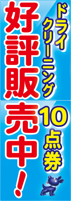 ドライ10点券